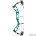 Elite Archery Ember Compound Bow Package