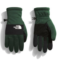 The North Face Men's Sierra ETip Glove