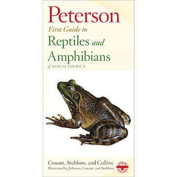 Peterson First Guide to Reptiles and Amphibians by Roger Conant, Robert Stebbins, Roger Peterson & Joseph Collins