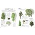 My First Encyclopedia of Trees: A Great Big Book Of Amazing Plants To Discover by Richard McGinlay