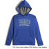 The North Face Boys Surgent Pullover Hoodie