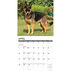Willow Creek Press Just German Shepherds 2024 Wall Calendar