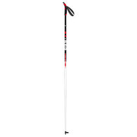 Rossignol XT-600 XC Ski Pole - 1 Pair