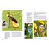 Backyard Basics: More Than 300 Q&As about Birds, Butterflies and Plants in Your Landscape, Edited by Birds & Blooms