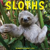 Willow Creek Press Sloths 2023 Wall Calendar