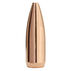 Sierra MatchKing 22 Cal. 52 Grain .224 High Velocity Match HPBT Rifle Bullet (100)