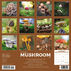 Willow Creek Press The Art of the Mushroom 2024 Wall Calendar