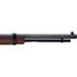 Henry Small Game Carbine 22 S/L/LR 17 12/16-Round Rifle