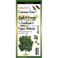 Sibley’s Common Trees of Trails & Forests of the Northeast & Upper Midwest: FoldingGuides