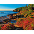 Maine Scene Acadia National Park 2022 Wall Calendar