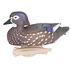 Flambeau Storm Front 2 Classic Floater Wood Duck Decoys - 6 Pack