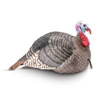 Hunter's Specialties Strut-Lite Turkey Decoy