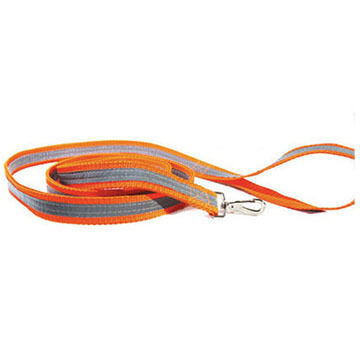 Dog Not Gone Dual-Sided 6-Foot Safety Dog Leash