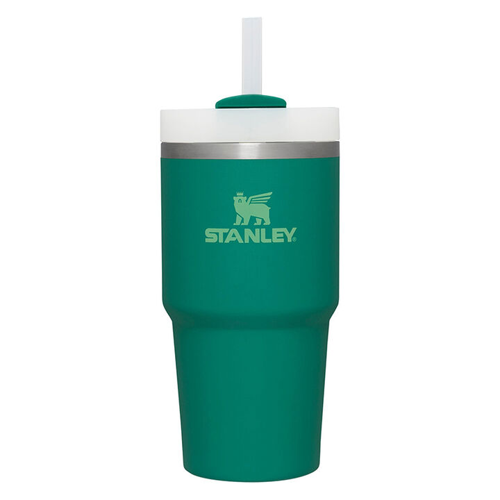 Stanley 2 Pack 20oz Stainless Steel Adventure Quencher Travel Tumblers