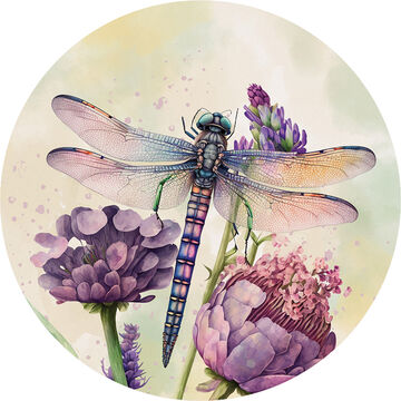 Carson Home Accents Dragonfly Floral Round Car Coaster