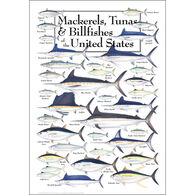 Mackerels, Tunas, and Billfishes of the United States Poster