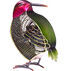 DECO BREEZE Figurine Fan - Hummingbird