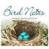 Bird Nests: Amazingly Ingenious and Intricate by Stan Tekiela