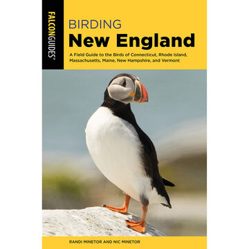 FalconGuides Birding New England: A Field Guide by Randi Minetor & Nic Minetor