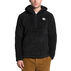 The North Face Mens Campshire Pullover Hoodie