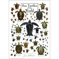 Sea Turtles of the World Poster