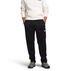 The North Face Mens Canyonlands Straight Pant