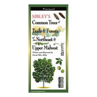 Sibley’s Common Trees of Trails & Forests of the Northeast & Upper Midwest: FoldingGuides