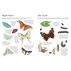 Ultimate Butterfly Sticker Book with 100 Amazing Stickers by Armadillo Books