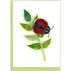 Quilling Card Ladybug Gift Enclosure Mini Card
