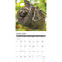 Willow Creek Press Sloths 2024 Wall Calendar