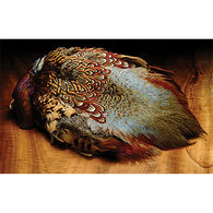 Hareline Ringneck Pheasant Skin Fly Tying Material