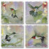Highland Home Natures Gift Of Feathers Coaster Set