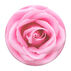 PopSockets Rose All Day SwapTop PopGrip
