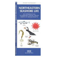 Northeastern Seashore Life: A Folding Pocket Guide to Familiar Coastal Species North of Massachusetts by James Kavanagh