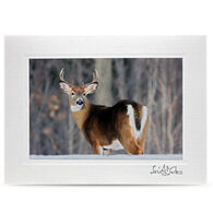Lori A. Davis Photo Card - Whitetail Buck