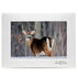 Lori A. Davis Photo Card - Whitetail Buck