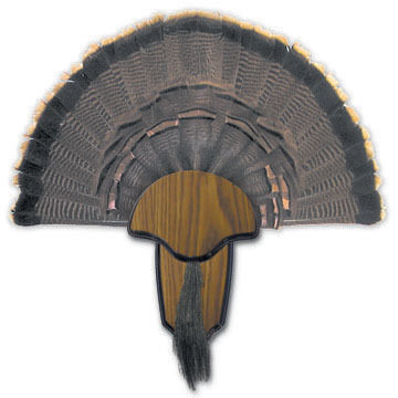 Hunters Specialties Turkey Tail & Beard Mount Kit