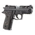 SIG Sauer P229 PRO 9mm 3.9 10-Round Pistol w/ 3 Magazines