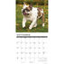 Willow Creek Press Just Bulldogs 2024 Wall Calendar
