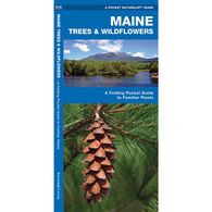 Maine Trees & Wildflowers: A Folding Pocket Guide To Familiar Plants by James Kavanagh