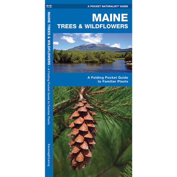 Maine Trees & Wildflowers: A Folding Pocket Guide To Familiar Plants by James Kavanagh