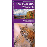 New England Wildlife: A Folding Pocket Guide to Familiar Species by James Kavanagh & Waterford Press