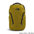 The North Face Vault 26 Liter Backpack - Past Season
