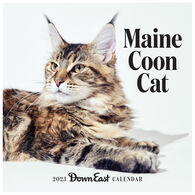 Maine Coon Cat: Down East 2023 Wall Calendar by Editors of Down East