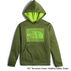 The North Face Boys Surgent Pullover Hoodie