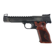 Smith & Wesson Performance Center Model 41 22 LR 5.5" 10-Round Pistol
