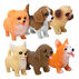Schylling Pocket Pup Toy