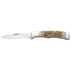 Browning Joint Venture Sheep Horn Folding Knife
