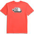 The North Face Boys Short-Sleeve Graphic Shirt