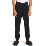 The North Face Boy's Never Stop Knit Training Pant